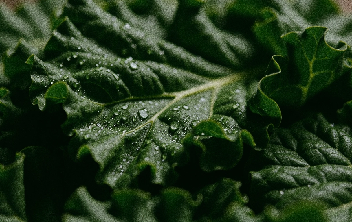 Feuillages Verts